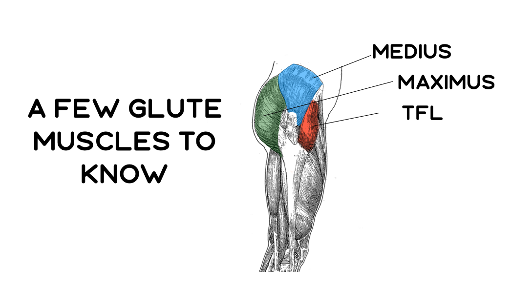 The Best Exercises To Strengthen The Glute Medius Recover Athletics